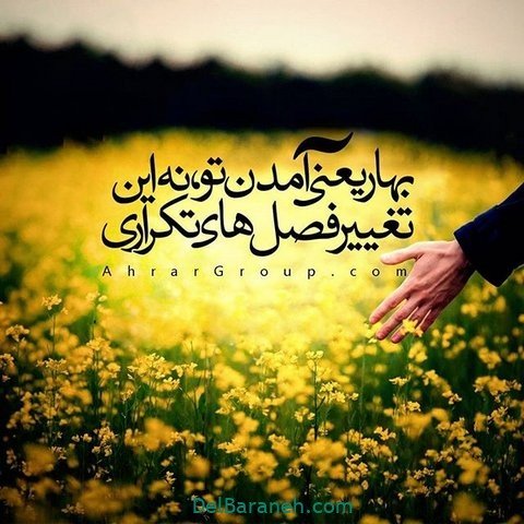  عکس پروفایل نیمه شعبان مبارک