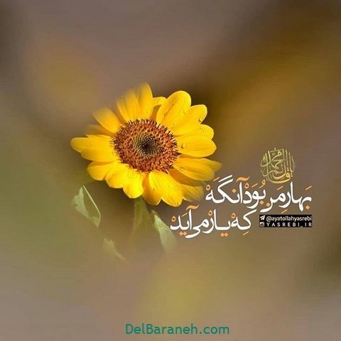  عکس پروفایل نیمه شعبان مبارک