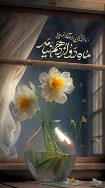  تصاویر نیمه شعبان تولد امام زمان