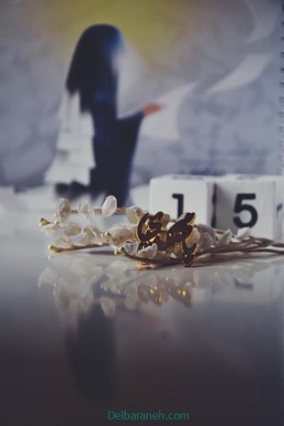  تصاویر نیمه شعبان تولد امام زمان