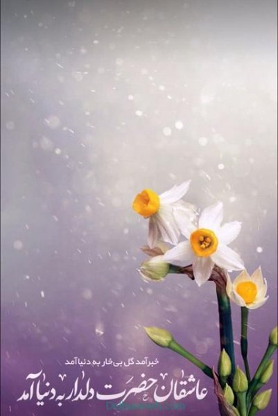  تصاویر نیمه شعبان تولد امام زمان