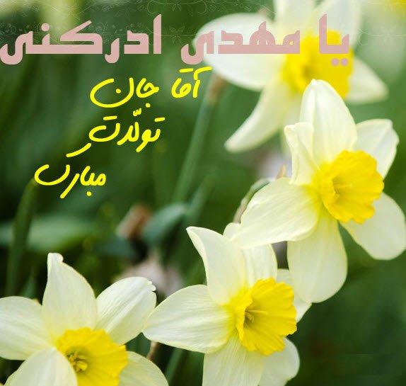  عکس جشن امام زمان