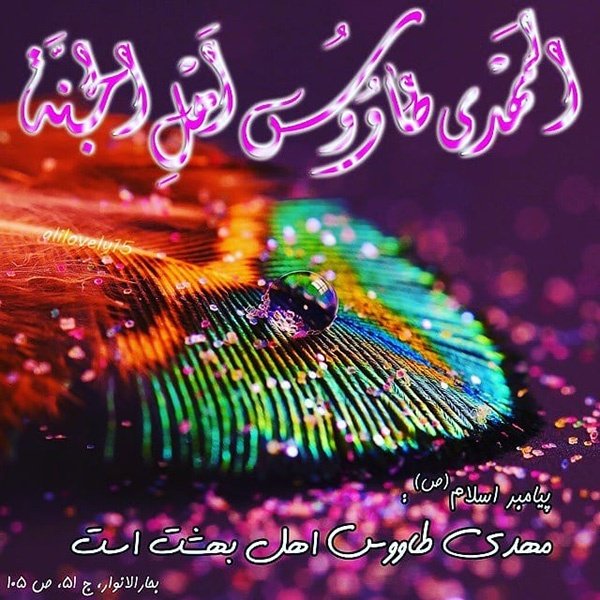  عکس درباره تولد امام زمان 1404