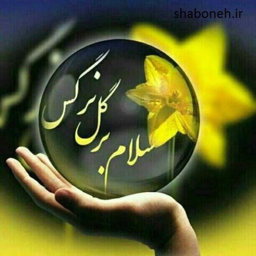  عکس نیمه شعبان 1404