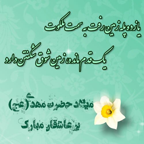 عکس جشن امام زمان