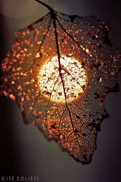  عکس های جالب و جذاب برای پروفایل