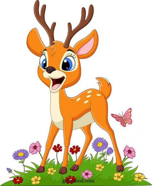  عکس اهو نقاشی