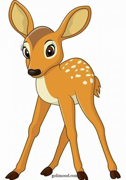  عکس اهو نقاشی