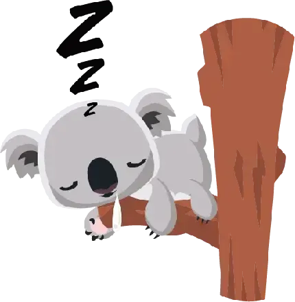  عکس کوالا فانتزی برای پروفایل