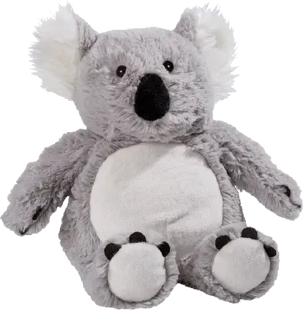 عکس کوالا واقعی