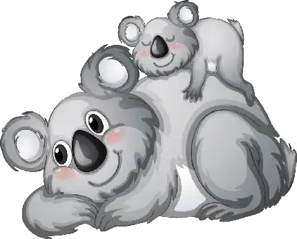 عکس کوالا واقعی