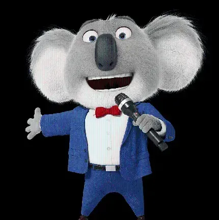 عکس کوالا واقعی