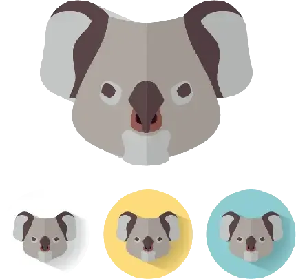 عکس کوالا واقعی