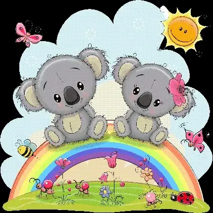 عکس کوالا واقعی