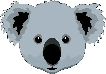 عکس کوالا واقعی