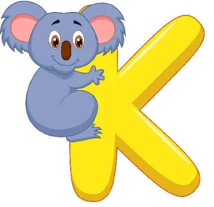 عکس کوالا واقعی