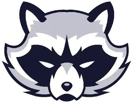  عکس راکون کارتونی