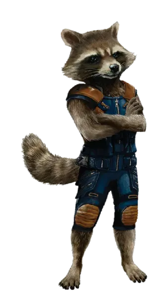  عکس راکون کارتونی