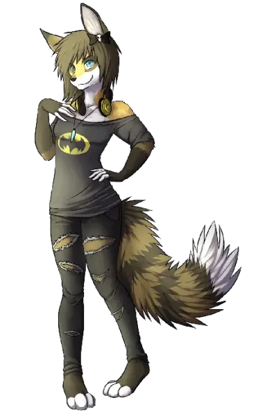  عکس راکون کارتونی