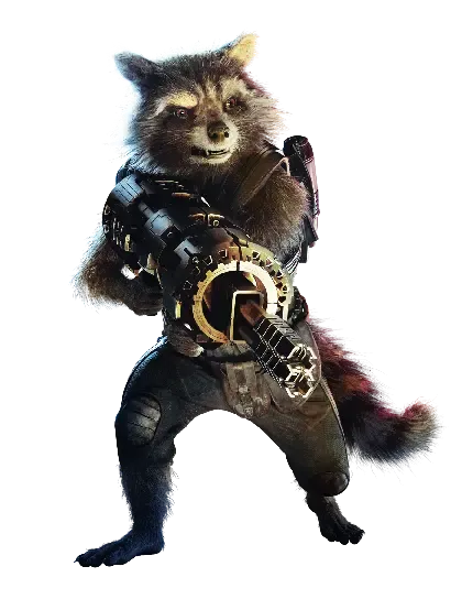  عکس راکون کارتونی