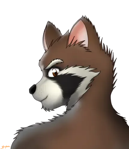  عکس راکون کارتونی