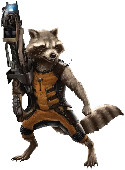  عکس راکون کارتونی