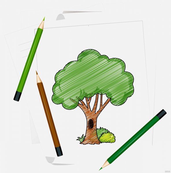  عکس درخت سرو نقاشی