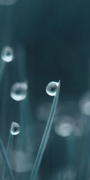  والپیپر اورجینال