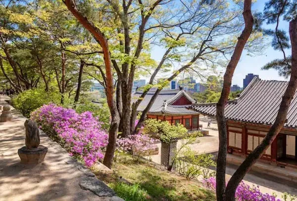  عکس کره جنوبی سئول