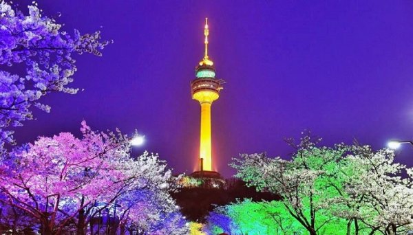  عکس جاهای دیدنی کره جنوبی