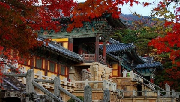  عکس جاهای دیدنی کره جنوبی