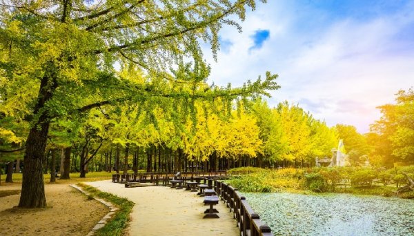  عکس جاهای دیدنی کره جنوبی