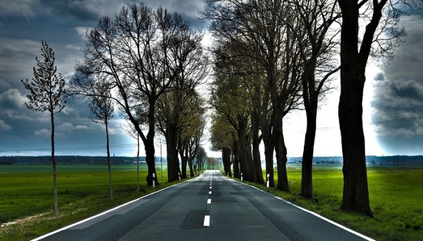  عکس جاهای دیدنی کره جنوبی