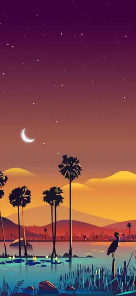  عکس درخت نخل زیبا