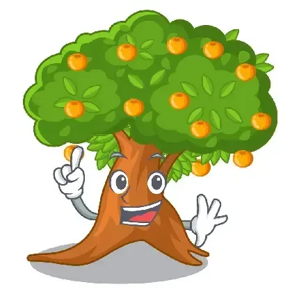  عکس درخت پرتقال