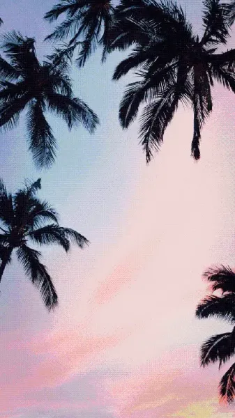  بک گراند درخت نخل زیبا با کیفیت