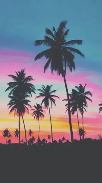 والپیپر درخت نخل برای گوشی سامسونگ