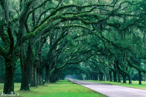  عکس آمریکا طبیعت