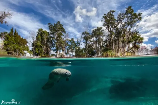  عکس آمریکا طبیعت