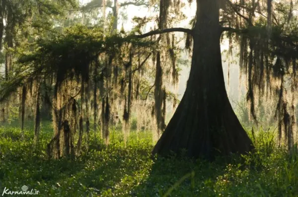  عکس آمریکا طبیعت