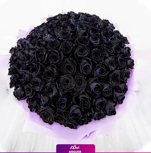 عکس گل برای تصویر زمینه شاد