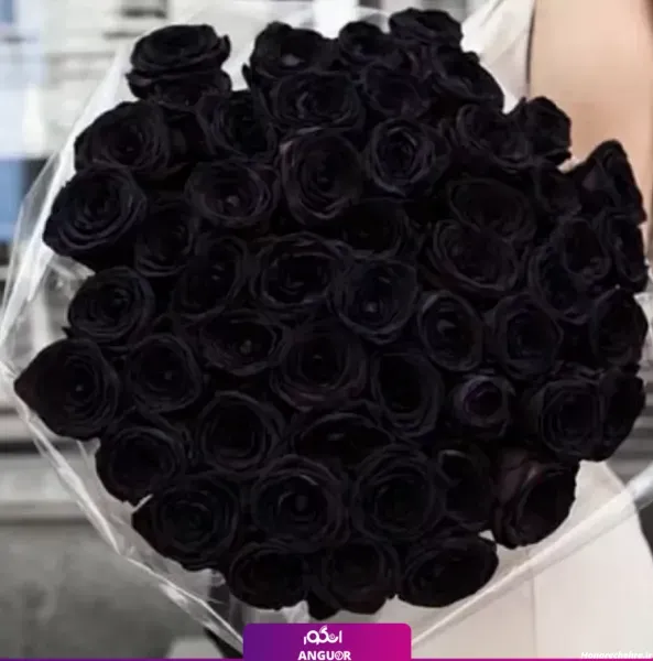 عکس گل برای تصویر زمینه شاد