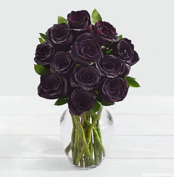 عکس گل برای تصویر زمینه شاد