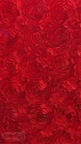 عکس قلب قرمز خوشگل