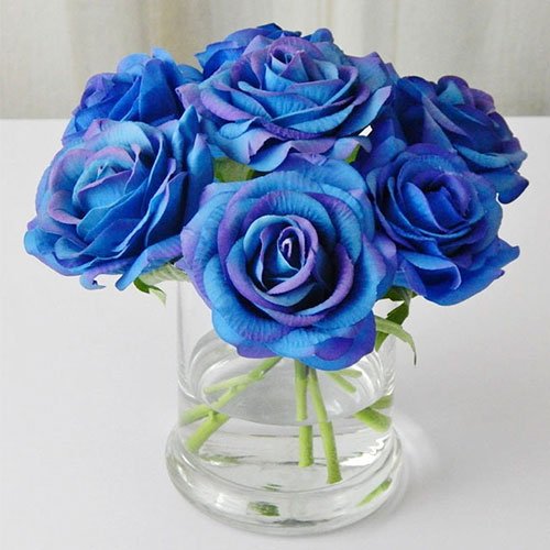 عکس گل رز قرمز برای پروفایل