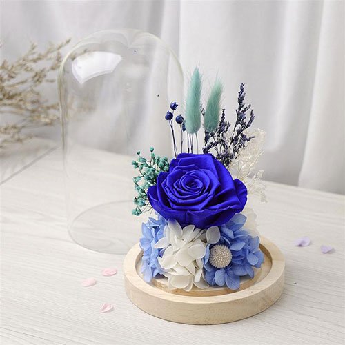  عکس گل های رز آبی خوشگل برای پروفایل