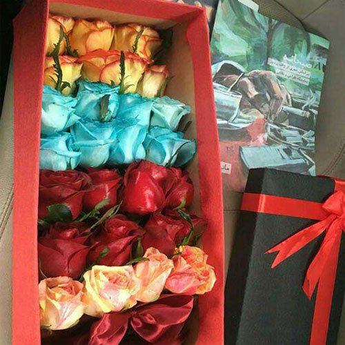 عکس گل رز قرمز برای پروفایل