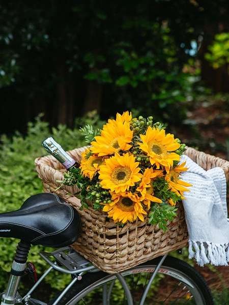 عکس گل آفتابگردان نقاشی