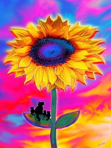 عکس گل آفتابگردان نقاشی