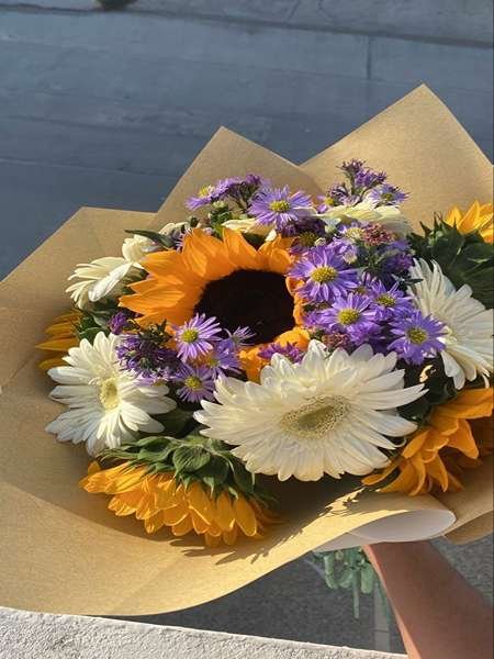 عکس گل آفتابگردان نقاشی